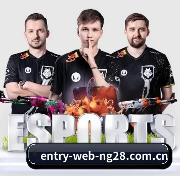 m.entry-web-ng28.com.cn APP | NG28 H5
