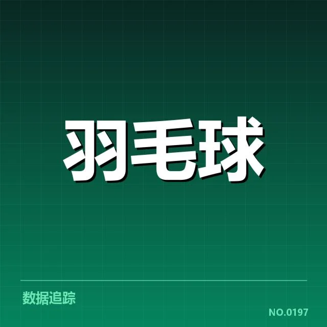 关键选手的排名与比赛成绩确认